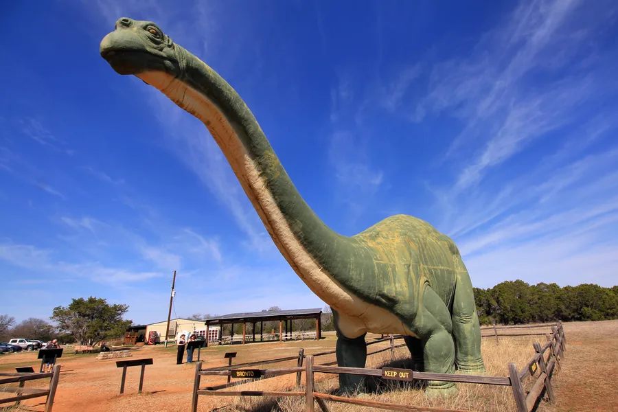 Apatosaurus model at Dinosaur Valley State Park in Glen Rose Texas
