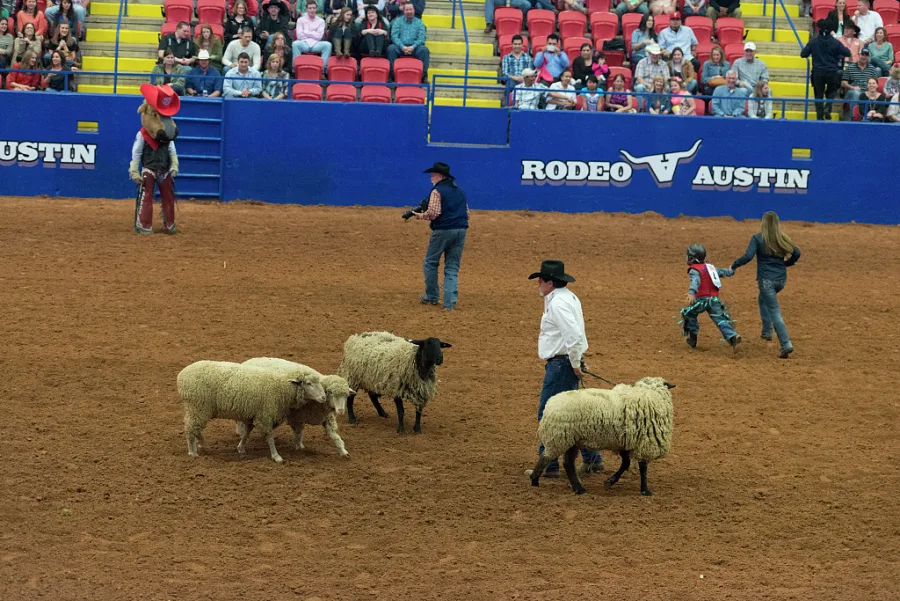 Rodeo arena event scene representing livestock and rodeo events hosted at The Expo at Glen Rose